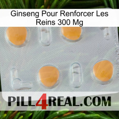 Ginseng For Reinforcing Kidney 300 Mg 24
